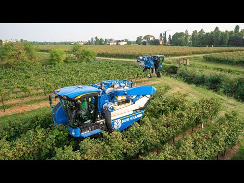 Prosecco Harvest 🍇 2 New Holland Braud 9090L | ROMAN