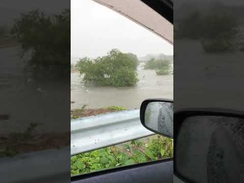 埼玉県さいたま市見沼区の芝川  台風19号 土呂中学校近くから撮影#台風20号 #芝川 #土呂中学校