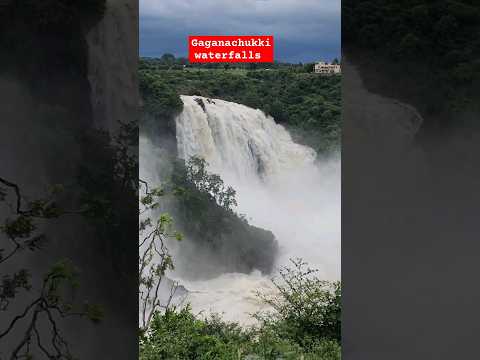 todays view at gaganachukki waterfalls  #Gaganachukkifalls #shivanasamudra