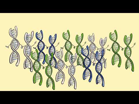 Cancer Genetics & High Risk Program: Genetic Counselling