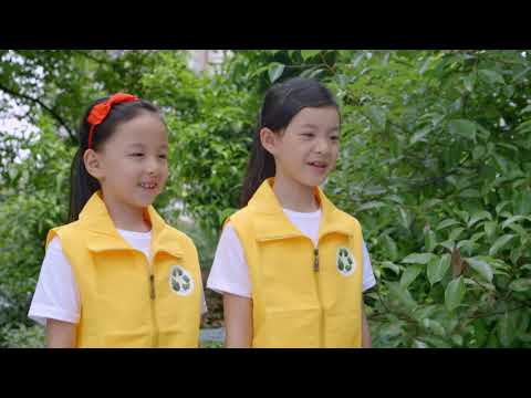 #8 小学活动真精彩（下）Wonderful Activities 2 入学准备 Preparing for School 优优龙儿童中文学习 Chinese Learning For Kids