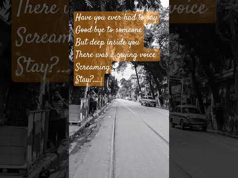 Stay #song #music #hindisong #oldsong #oldisgold #nature #greenrelax #ytshorts #love #hurt #stay #yt