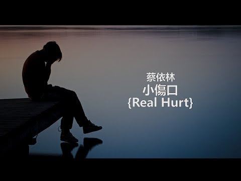 蔡依林{Jolin Tsai} - 小傷口 {Real Hurt} (Cover)