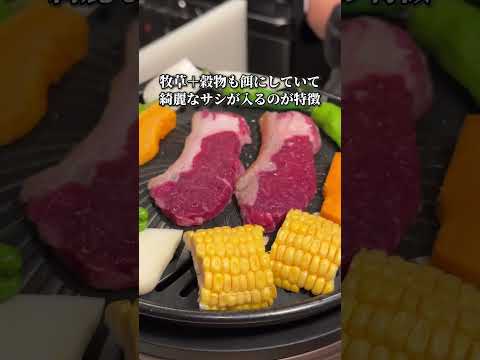 西日本でも稀な「国産羊肉専門店」ラム肉バル結さんに行ってきたー！