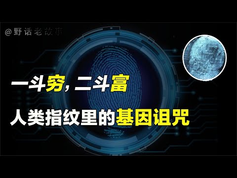 人类指纹的斗和簸箕有何秘密？富贵穷通的命运就在其中！【野话老故事】