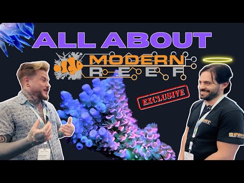 Supplementing Your Saltwater Aquarium | All About Modern Reef | Magic In A Bottle