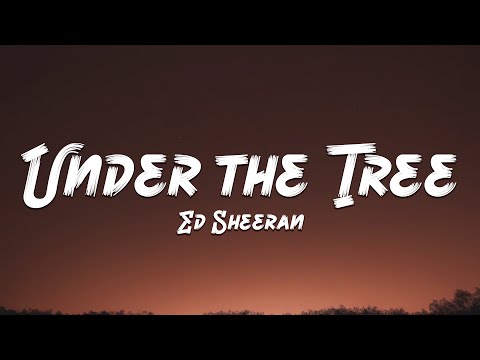 Ed Sheeran - Under the Tree - from “That Christmas" (Lyric Video) 🎵