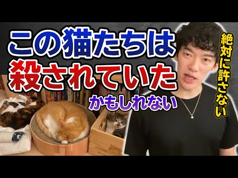 【DaiGo】この猫達は殺処分されていた可能性も！こんな税金の使い方は許せない！