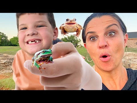 Caleb and Mommy go on a Neighborhood Bug hunt to Look for Frogs, Catch Bugs and Ride Bikes!