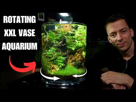 Creating A Giant ROTATING No Filter Vase Aquarium - Step-by-step Aquascape Tutorial