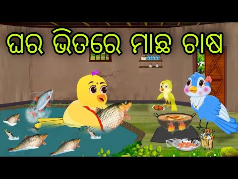 ଦୁଇ ଭଉଣୀ ଙ୍କ ମାଛ ଚାଷ |  machha chasa | Tiki Chadhei Gapa | Odia Chadhei Gapa | New Story