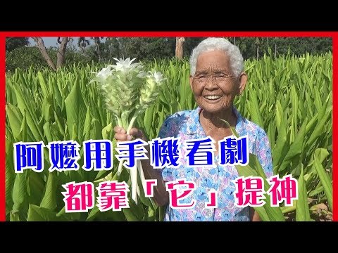 阿嬤用手機看劇，都靠「它」提神