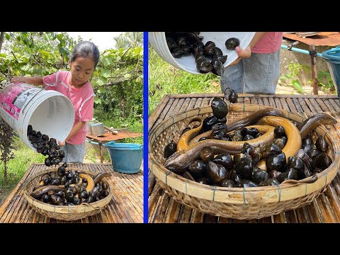 Smart girl Pich cook river snails and eel fish with country style