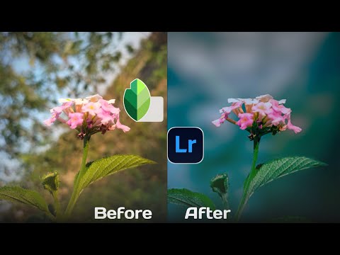 How to make a HD  BACKGROUND BLUR In SNAPSEED Apps | Edit In LIGHTROOM MOBILE| By@editortips