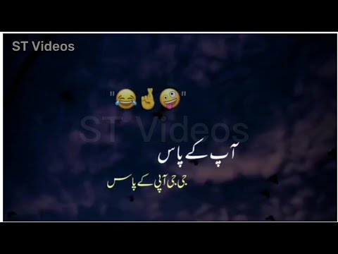 Urdu Poetry👌||love💖Urdu Poetry||Funny Poetry In Urdu🥰||WhatsApp Status Poetry🤟|Tiktok Poetry video ❣