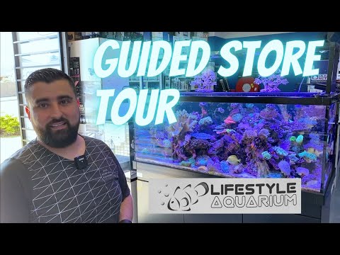 Lifestyle Aquariums - Guided Tour!