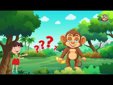 Kids Learning About Jungle Animals: TopKids Educational