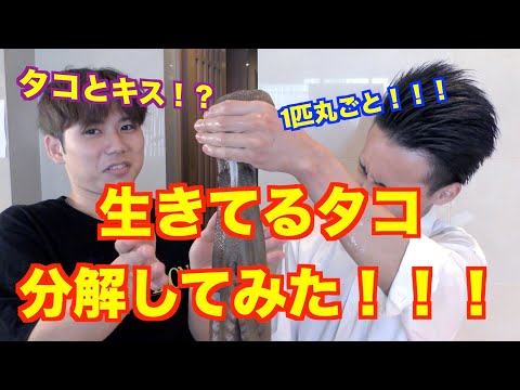 生きているタコを捌いたらまさかの結果に？タコとキス？活ダコ大解剖！！