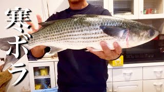 【閲覧注意】冬のこの魚が美味しいってほんまか？食べてみた衝撃の結果…