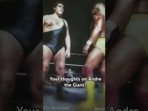 What did you think about Andre the Giant