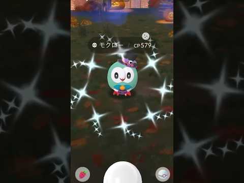 ハロウィン限定色違いが可愛すぎるので本気出してみた結果！？ #ポケモンgo