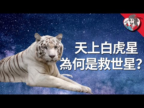 安祿山是白虎星轉世，郭子儀是青龍星轉世？！|詳解中華傳統天文體系|星空帝國#08【國風學子沐子欣】