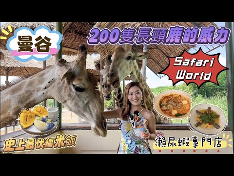 【曼谷 2023】200隻長頸鹿是什麼畫面？餵🦒餵到無錢？🦓識聽hello？史上最伏芒果糯米飯🥭瀨尿蝦專門店必食冬陰功湯粉🍜不可一不可再嘅米芝蓮餐廳