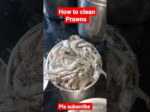 How to clean Prawns #koliwada #shorts #shortsfeed #ytshort #youtubeshorts #food #fish