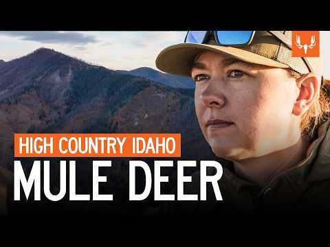 High Country Mule Deer | With Jordan Budd