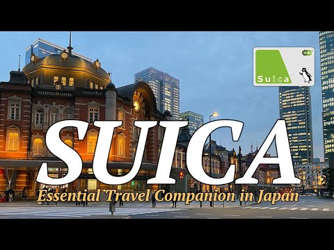 SUICA: Essential Travel Companion in Japan