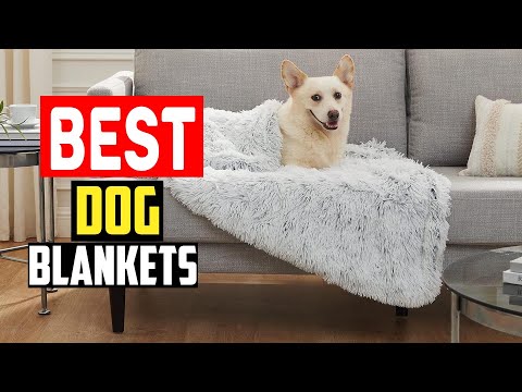 ✅Top 5 Best Dog Blankets for Pet Friendly Coziness in 2025