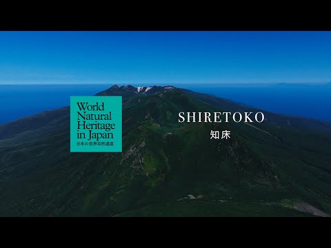 知床の1日をめぐる｜日本の世界自然遺産　Through a Day at Shiretoko | World Natural Heritage in Japan