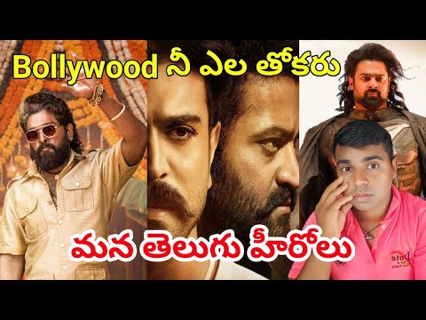 Bollywood సినిమాలని ఎల తోకేసరు మన తెలుగు డైరెక్టర్ & హీరోలు