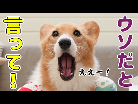 4年間お世話になりました、最後の開封動画です(チャンネルは続きます…！)