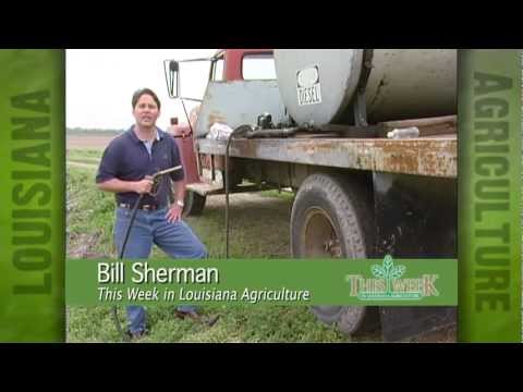 Bill Sherman's Ag-related stories, stand-up and interviews.