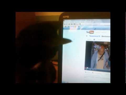 Lolcat follows the cursor