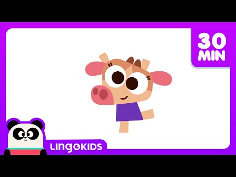 HELLO SONG 👋🎶 + Cowy's Favorite Music for Playtime 🪅 | Lingokids