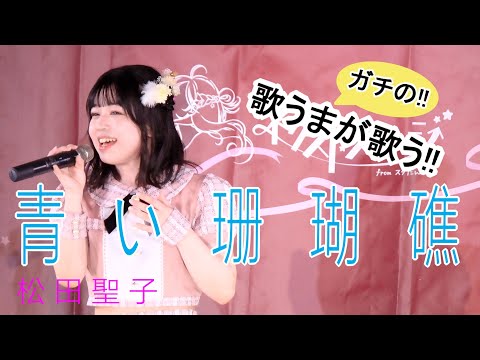 青い珊瑚礁 - 松田聖子／長真由美（おさまゆみ）／定期ライブ「Go for dream」Vol.6 from ネクストステージ（2024年8月25日）