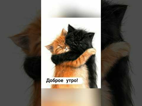 🌹|С ДОБРЫМ УТРОМ 🌺| Музыкальное попурри|#shorts