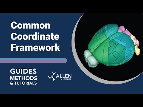 Common Coordinates Framework | Tutorial