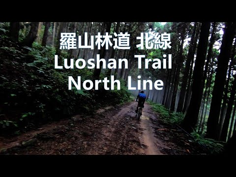 新竹 五峰 羅山林道北線 登山車 Hsinchu Luoshan Trail North Line.