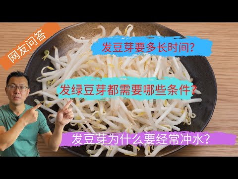 网友问答5：发豆芽为什么会烂？发豆芽为什么要经常冲水？发豆芽要多长时间？