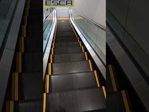 [New!] Cross Mukogaoka Escalator 2F-1F #shorts #escalator