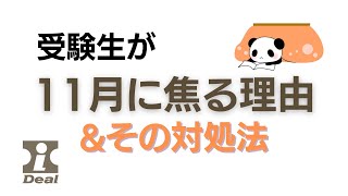 受験生が１１月に焦る理由＆その対処法【大学受験】