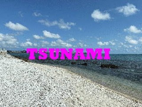 TSUNAMI　～エアロフォンAE-20で吹いてみた