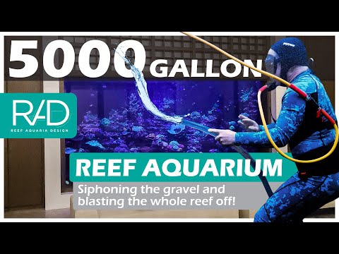 5000 GALLON REEF AQUARIUM IN FORT LAUDERDALE, FLORIDA BY REEF AQUARIA DESIGN PART 8