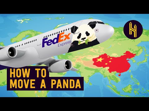 Why China Took the US’ Pandas