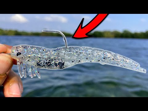 Paperclip Fishing Hook Challenge - Can You Catch Fish?