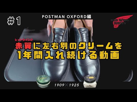 【レッドウイング】ポストマン101にコロニル1909とクレム1925を一年間入れていく #1【ポストマン編】