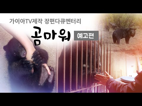 가이아TV 제작 다큐멘터리 [곰마워] 예고편 | 펀딩 성공할 수 있게 도와주세요!